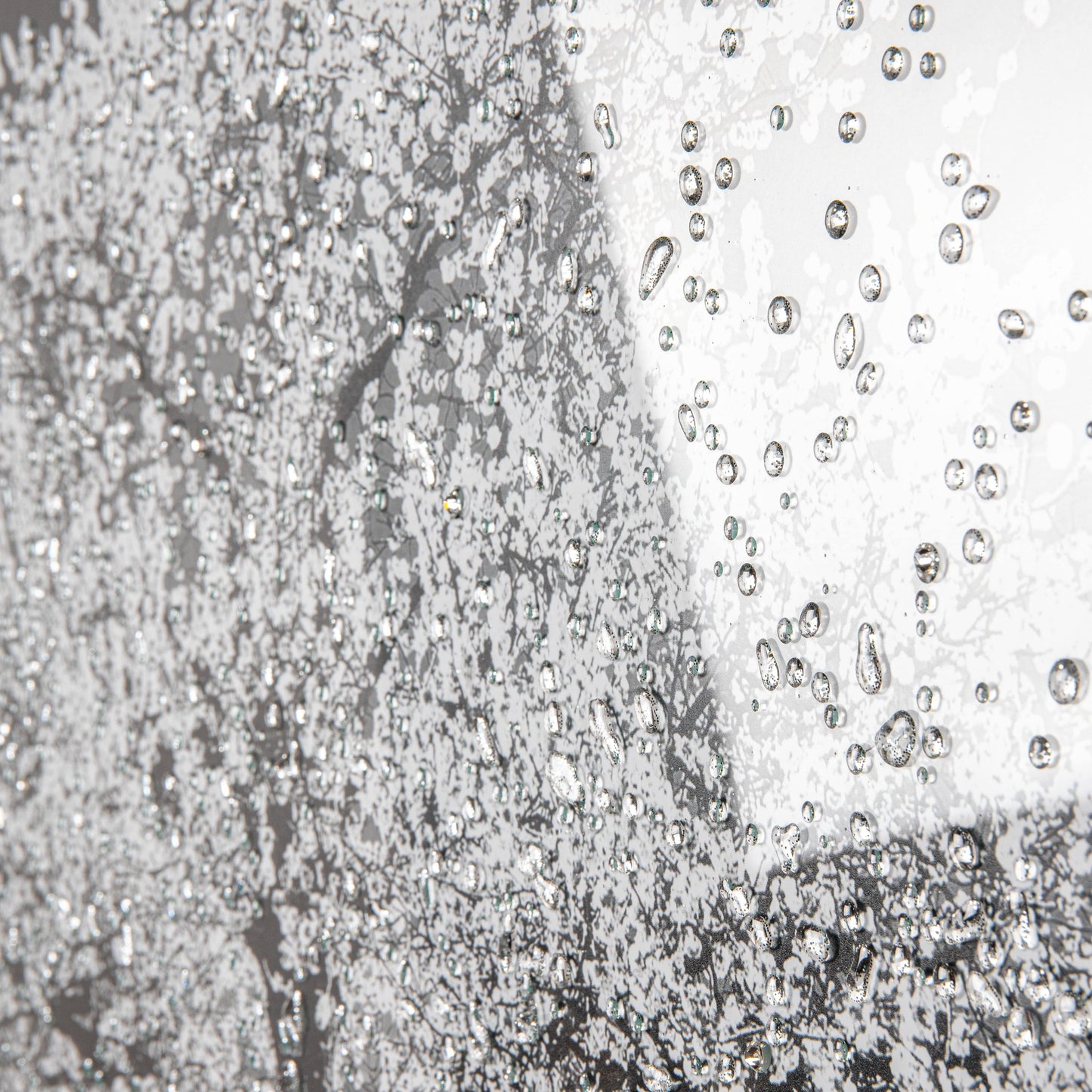 Pictures  -  Shh White Cherry Tree Framed Picture 114 X 74  -  50153802