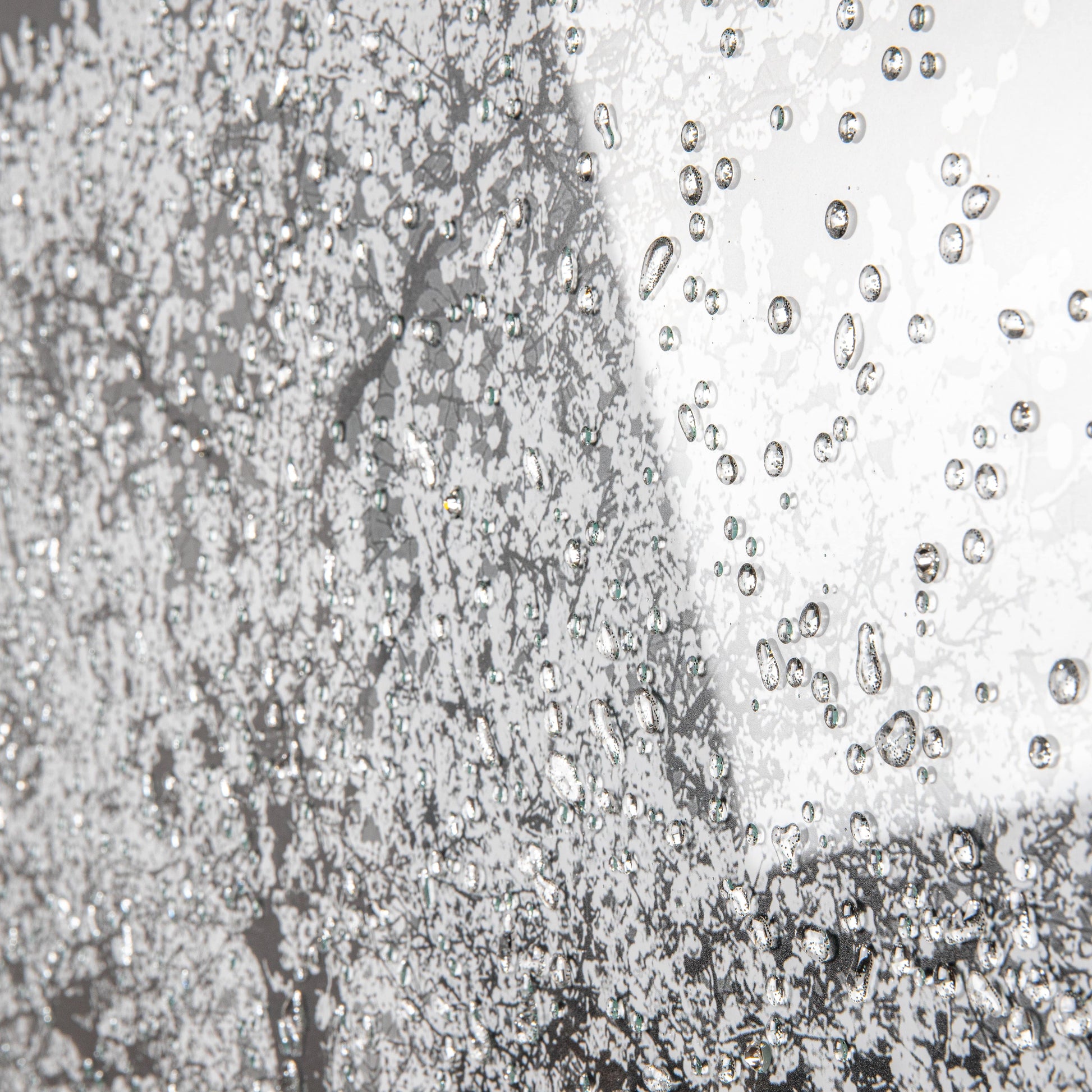 Pictures  -  Shh White Cherry Tree Framed Picture 114 X 74  -  50153802