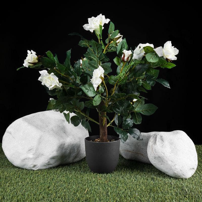 Gardening  -  Smart Garden White Regent's Roses Artificial Plant  -  60006419