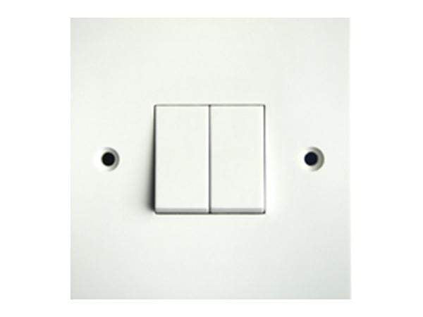 DIY  -  Sparkpak Double 2 Way Switch (01090338)  -  01090338
