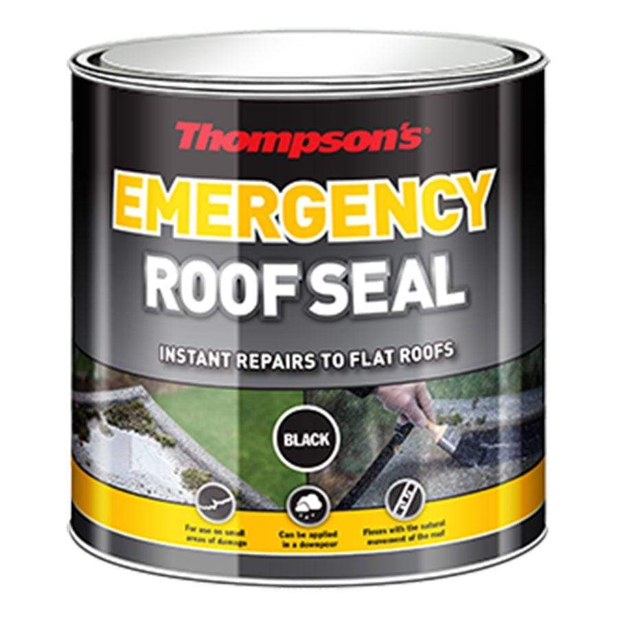 Paint  -  Thompson'S Emergency Black Roof Seal  -  00517973