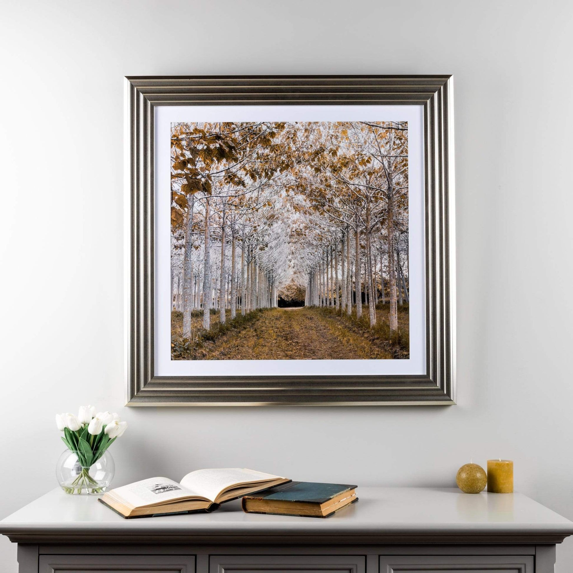 Pictures  -  White & Gold Autumn Forest Wall Art  -  50143977