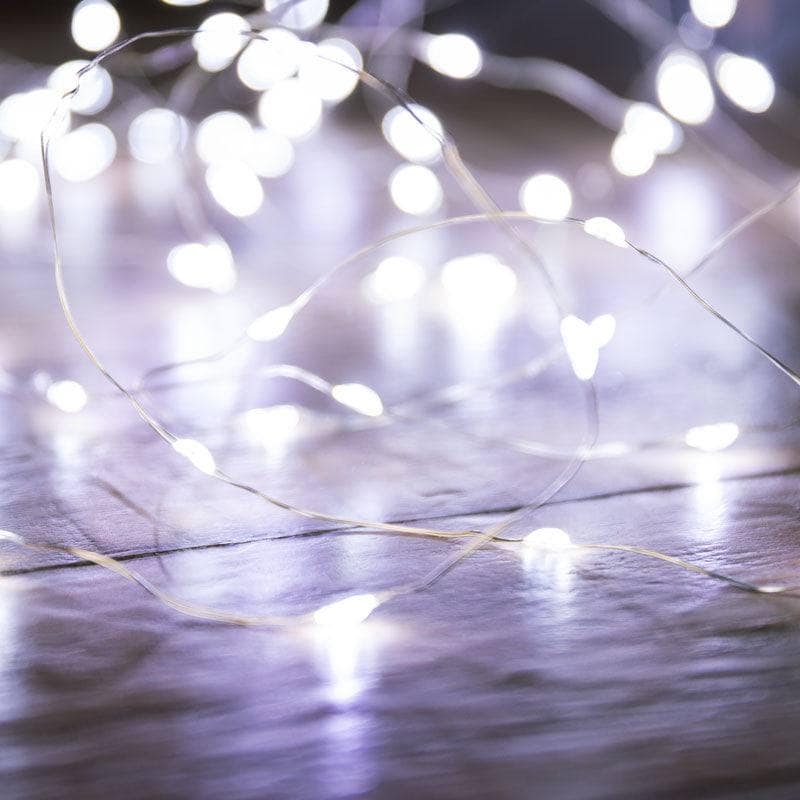 Lights  -  White Mircro LED String Lights  -  50142600