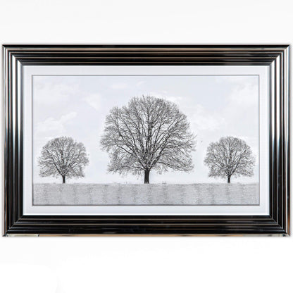 Pictures  -  Winter Tree Picture  -  50145324