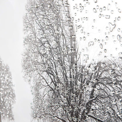 Pictures  -  Winter Tree Picture  -  50145324